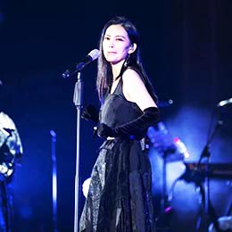 VUݳĹ˾,Vݳĳ⹫˾,ݳĳ