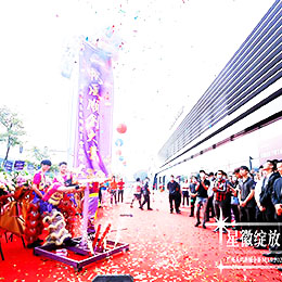 _,_ô˾,V_ô˾