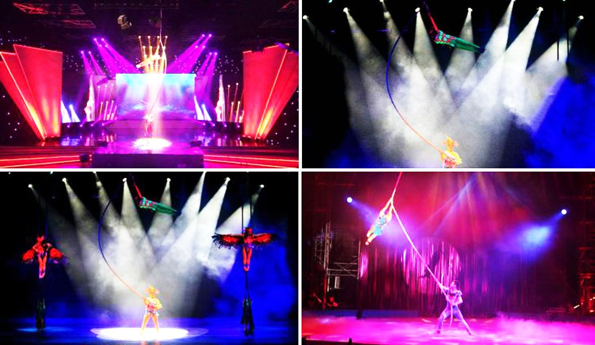 Vħg(sh)ˇ(jng)o(j)˾,Vsˇ(jng)o(j)˾