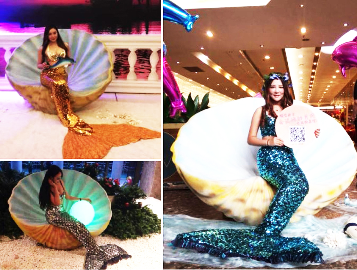 Vݳ(ji)Ŀ(jng)o(j)˾